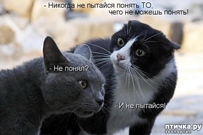 ���� 5: ���������, �������!