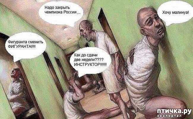 ���� 7: ���������, �������!