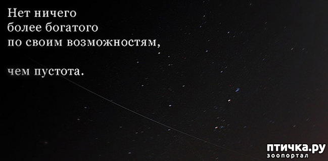 ���� 8: ���������, �������!