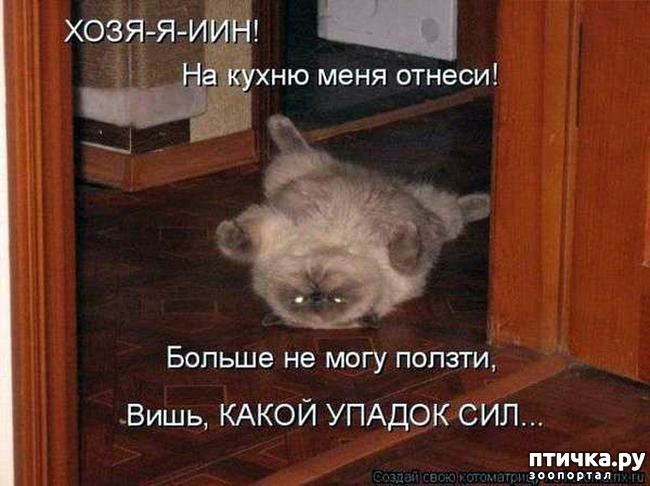 ���� 9: ���������, �������!