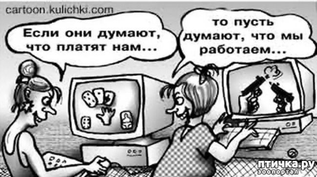 ���� 11: ���������, �������!