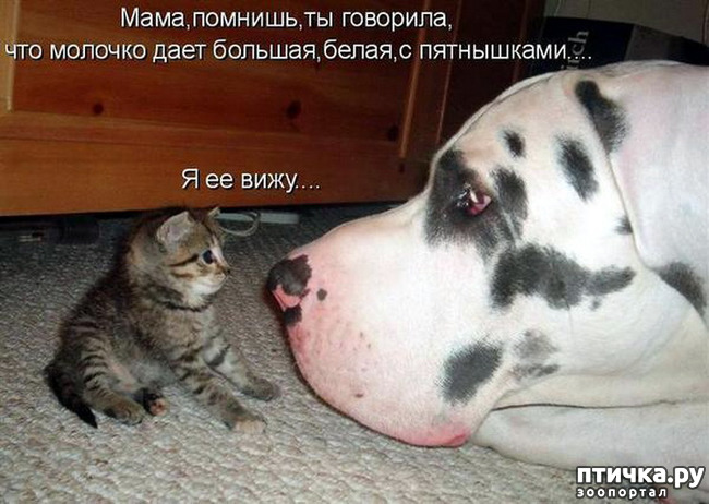 ���� 12: ���������, �������!