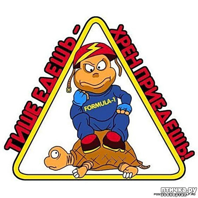 ���� 13: ���������, �������!