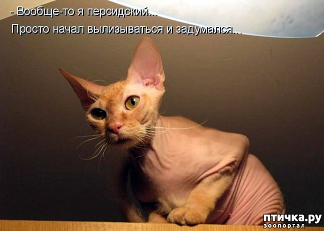 ���� 14: ���������, �������!