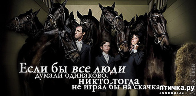 ���� 15: ���������, �������!