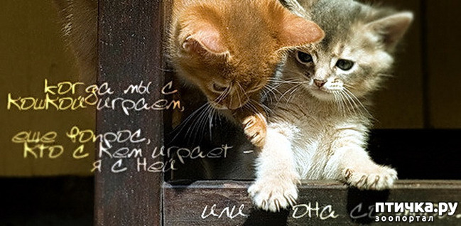 ���� 16: ���������, �������!