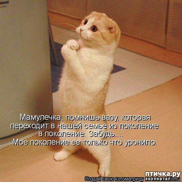 ���� 17: ���������, �������!