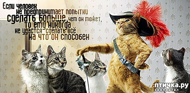 ���� 18: ���������, �������!