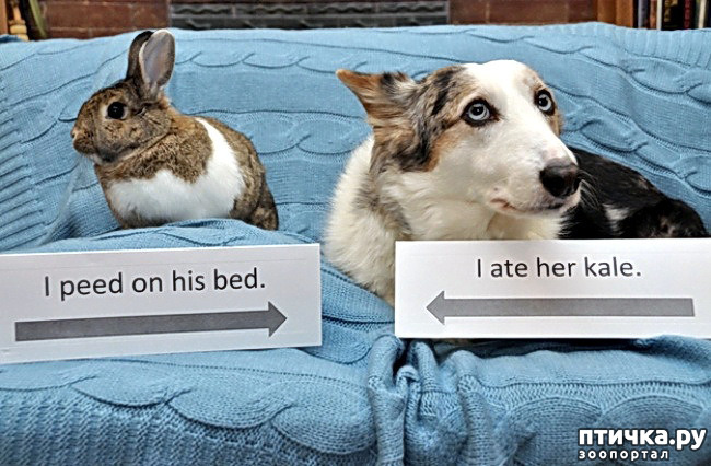 ���� 19: ���������, �������!