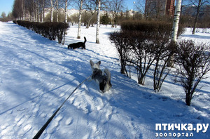 ����: ���������� ��������