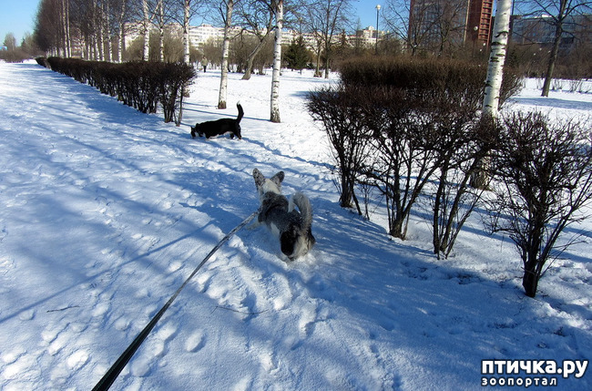 ���� 1: ���������� ��������