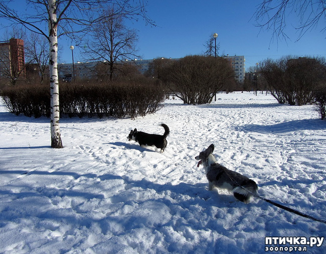 ���� 2: ���������� ��������