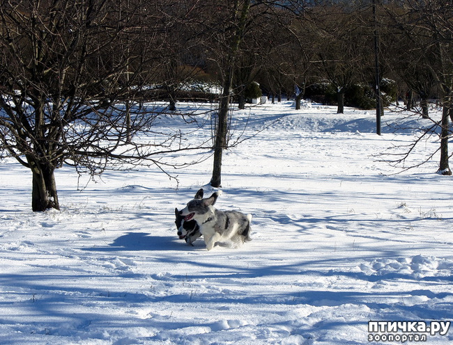 ���� 3: ���������� ��������