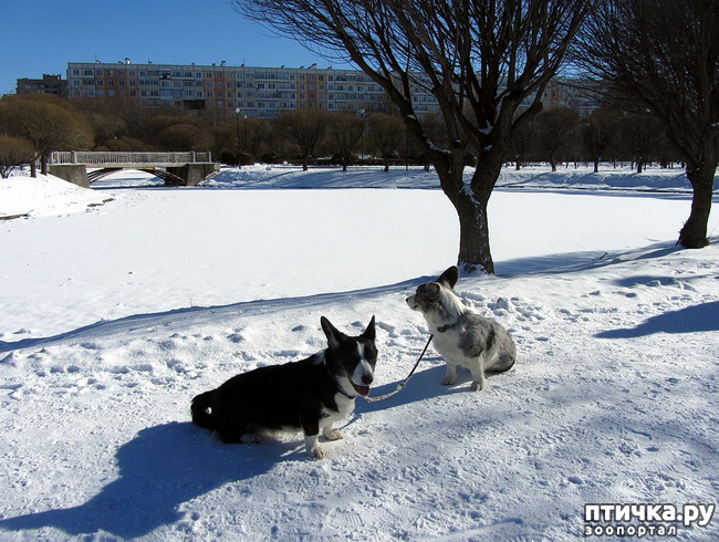 ���� 4: ���������� ��������