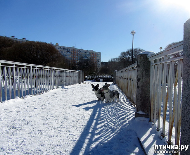 ���� 5: ���������� ��������