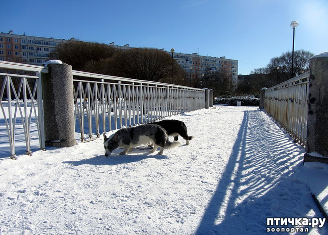 ���� 6: ���������� ��������