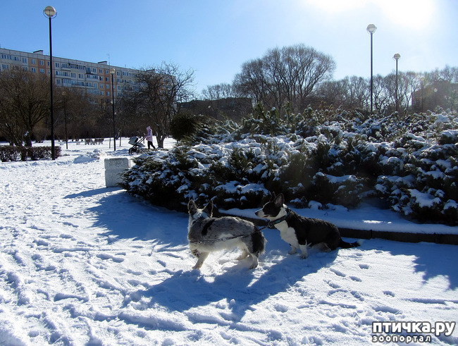 ���� 7: ���������� ��������