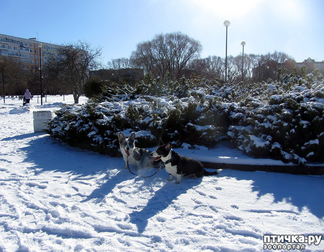 ���� 8: ���������� ��������