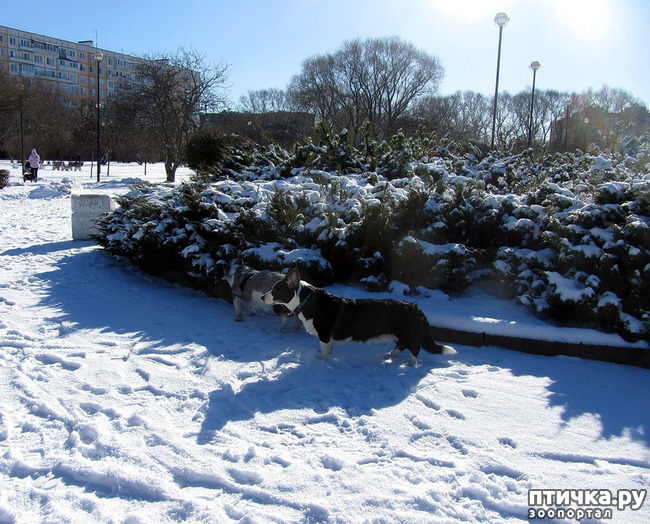 ���� 9: ���������� ��������