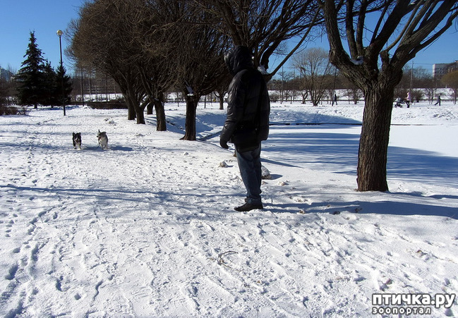 ���� 10: ���������� ��������