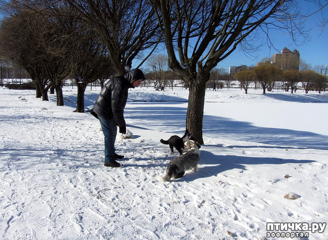 ���� 11: ���������� ��������