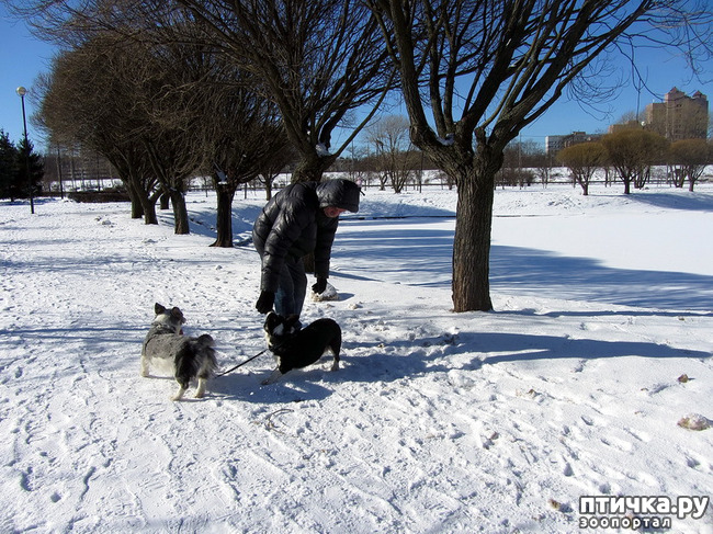 ���� 12: ���������� ��������