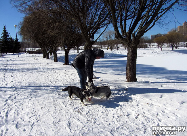 ���� 13: ���������� ��������