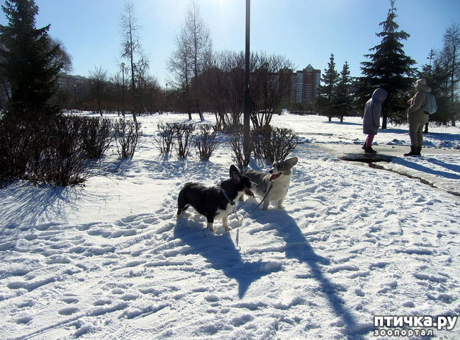 ���� 14: ���������� ��������