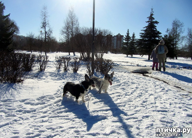 ���� 15: ���������� ��������