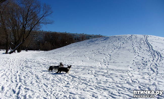 ���� 16: ���������� ��������