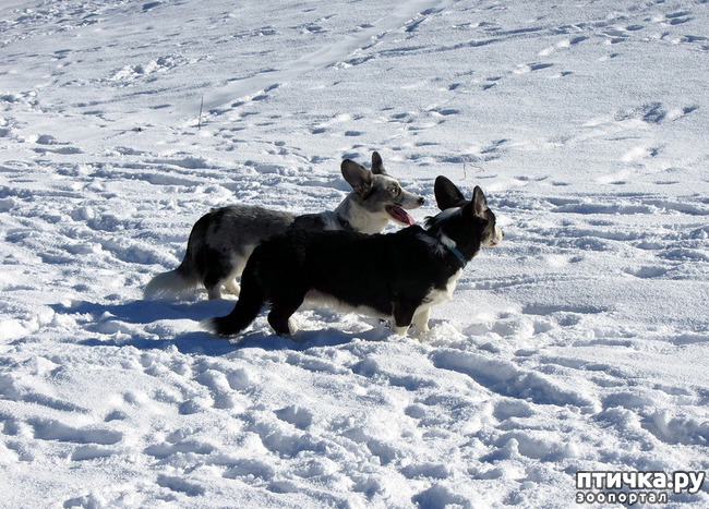 ���� 17: ���������� ��������