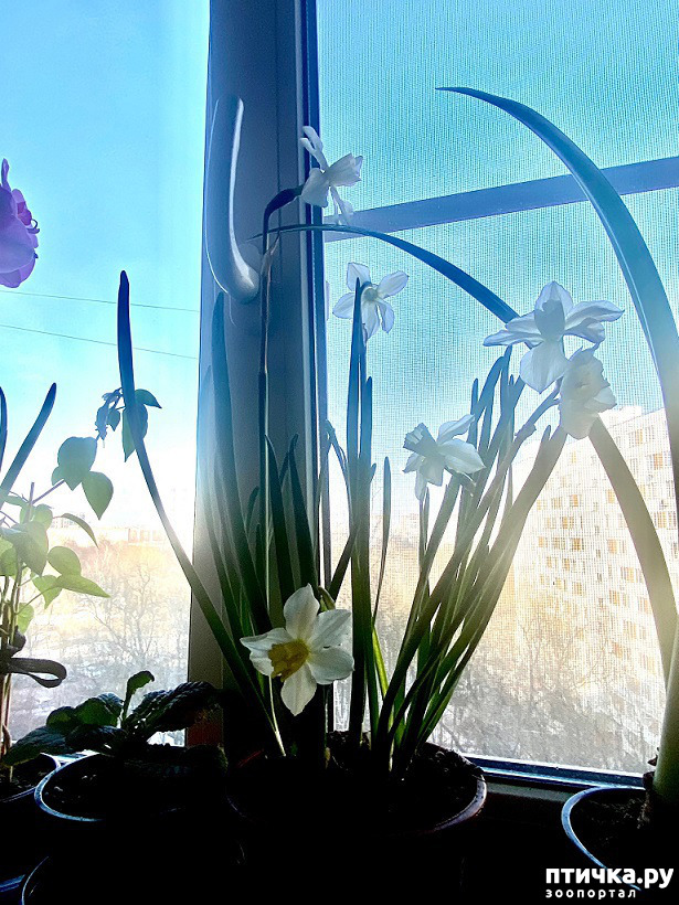 ���� 2: ����� ���, ����� - ������!