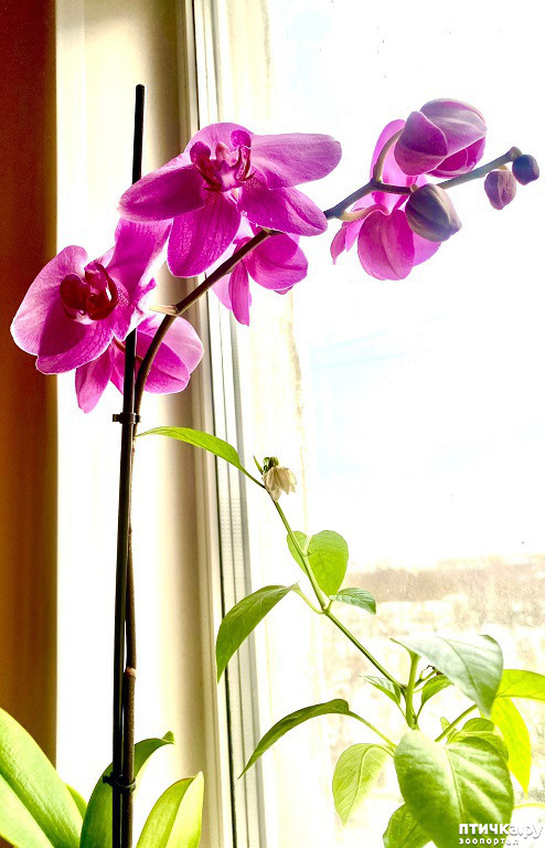 ���� 4: ����� ���, ����� - ������!