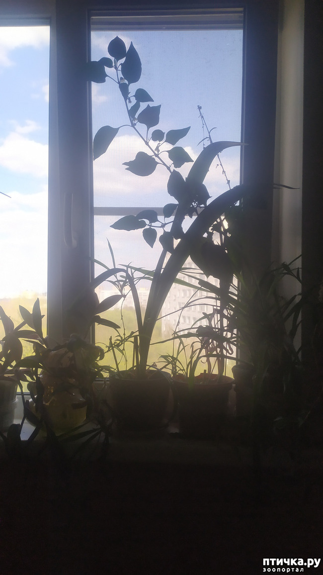 ���� 7: ����� ���, ����� - ������!