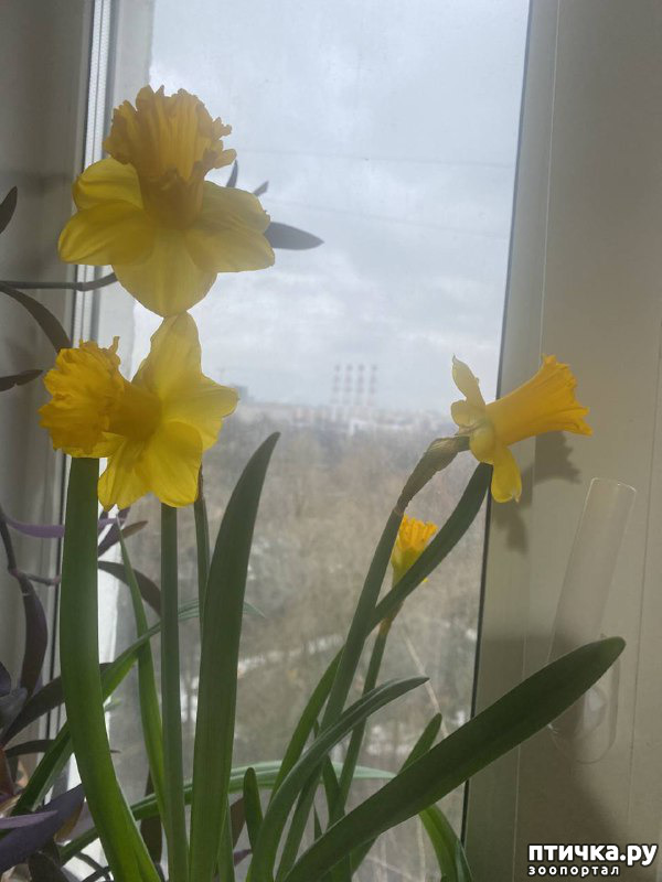 ���� 3: ����� ���, ����� - ������!