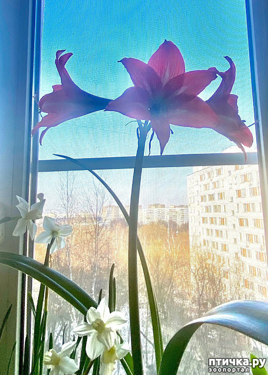 ���� 8: ����� ���, ����� - ������!