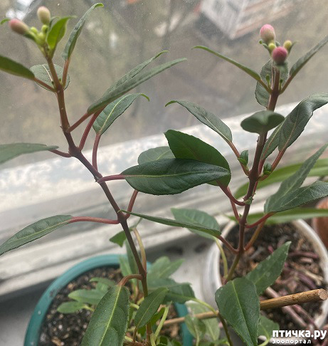 ���� 9: ����� ���, ����� - ������!