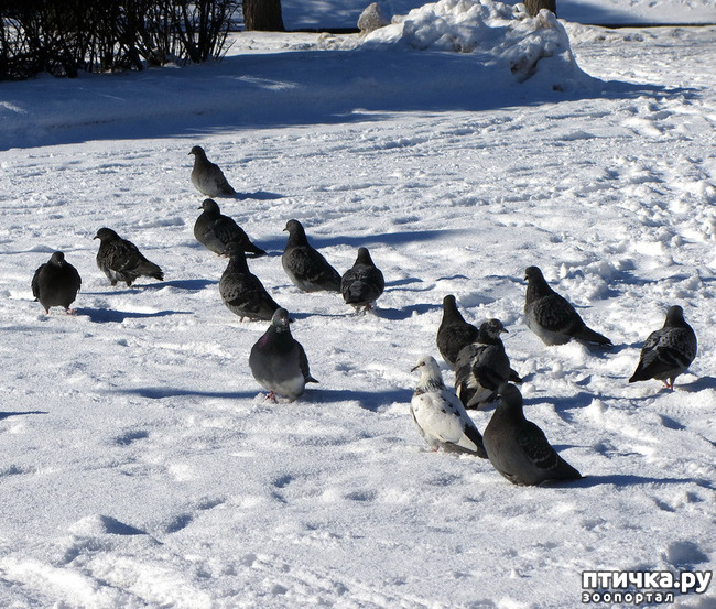 ���� 2: ����. ������.