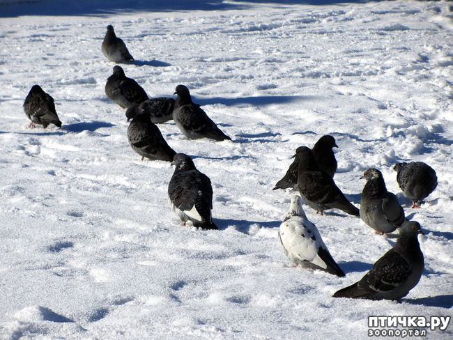 ���� 3: ����. ������.