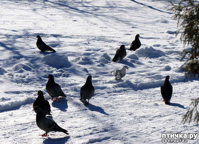 ���� 5: ����. ������.