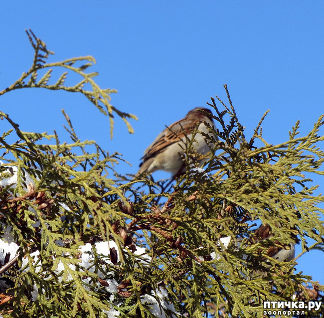 ���� 10: ����. ������.