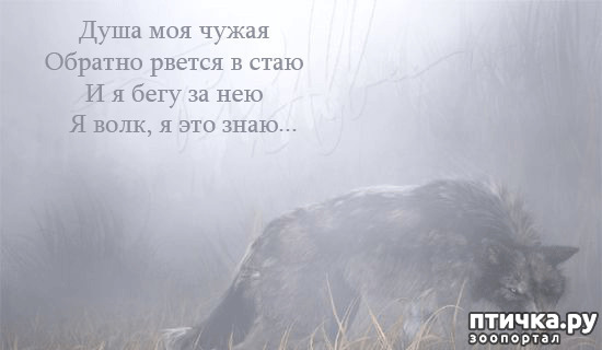 ���� 21: ����� � ����