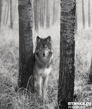 ����: ����� � ����