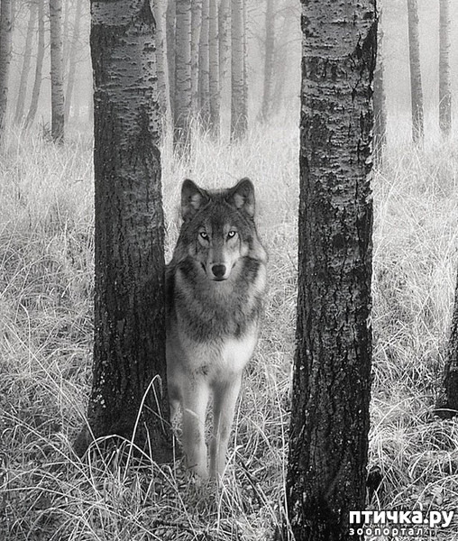 ���� 1: ����� � ����