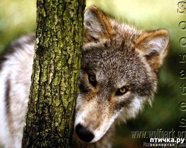 ���� 2: ����� � ����