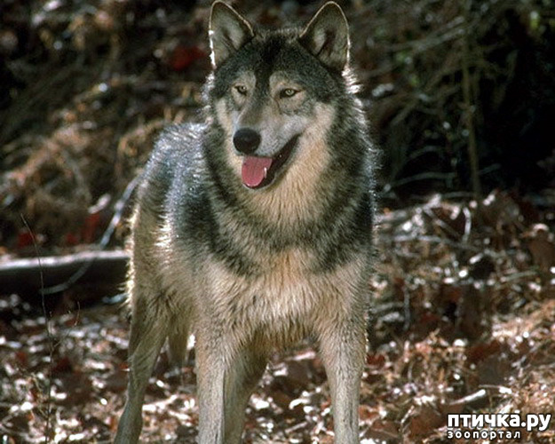 ���� 3: ����� � ����