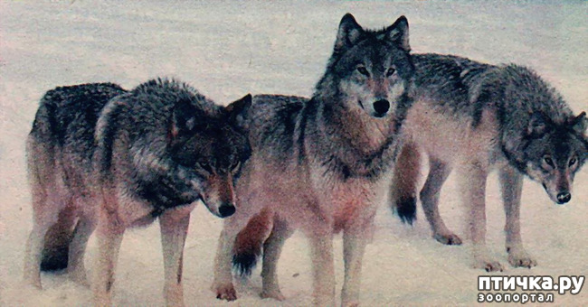 ���� 4: ����� � ����