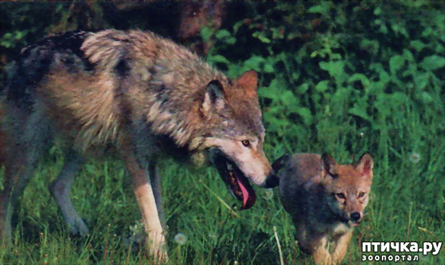 ���� 5: ����� � ����