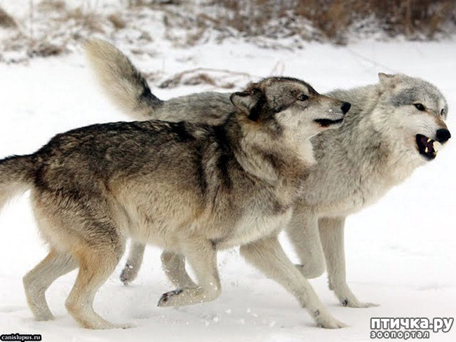 ���� 6: ����� � ����