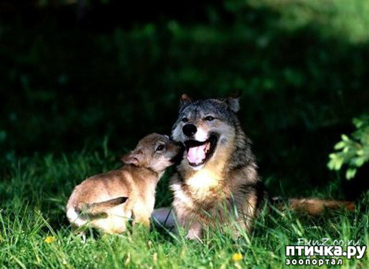 ���� 8: ����� � ����